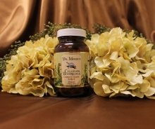 Lymphatic System II (Capsules)